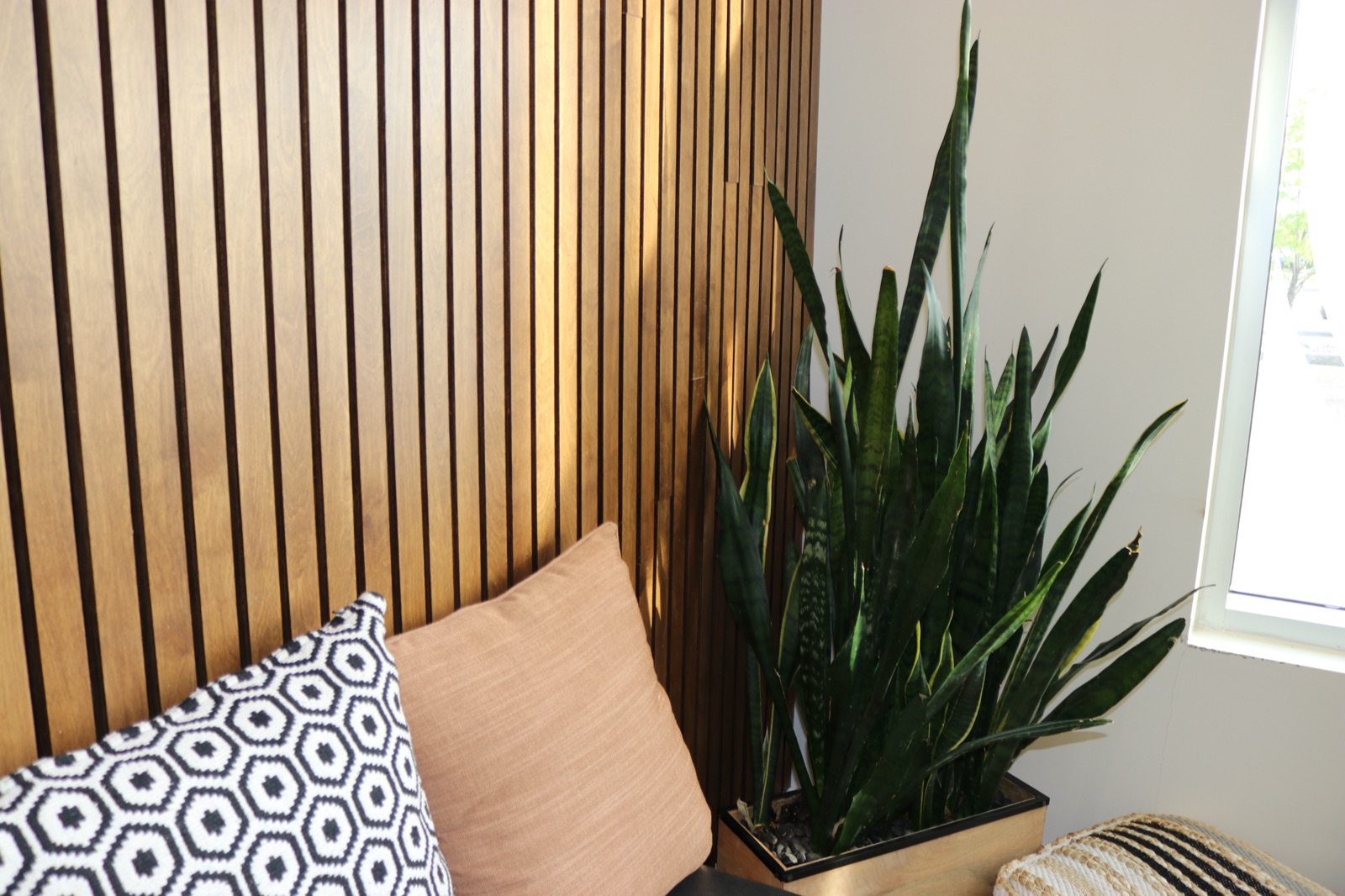 Warm wood-slat wall detail in the TLC waiting area